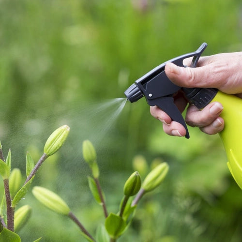 Pesticide