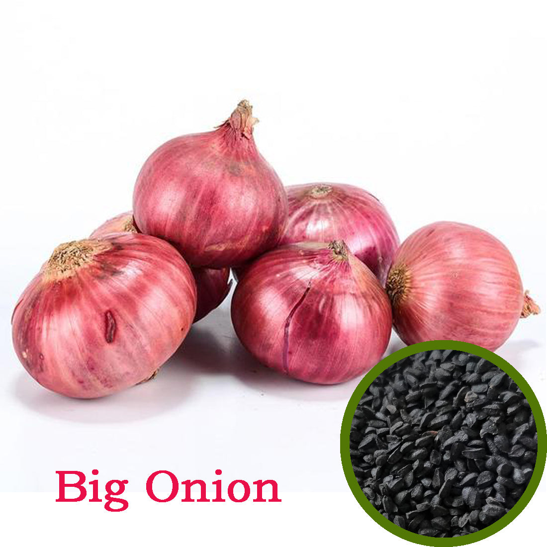 Big Onion Seeds