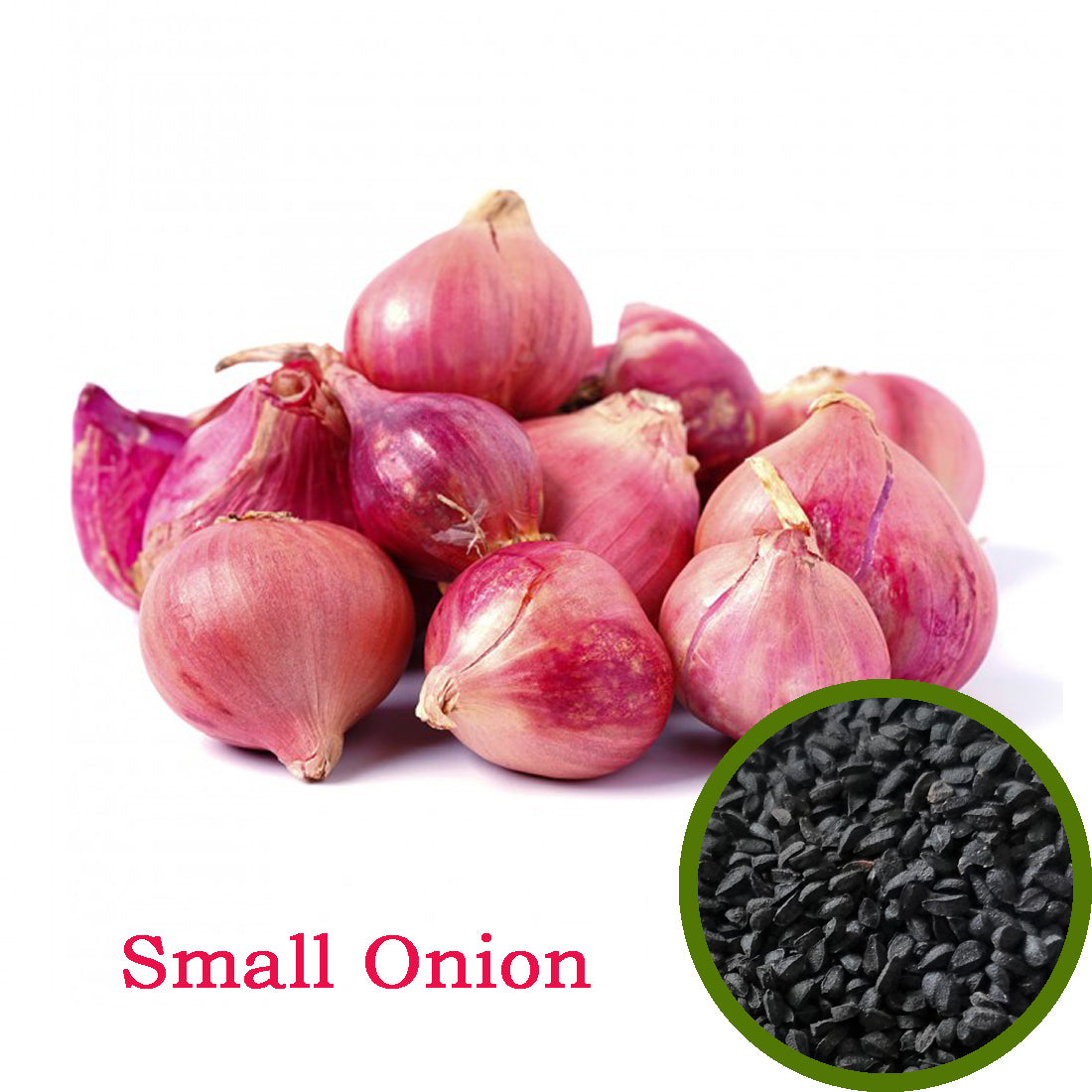 Small Onion Seeds