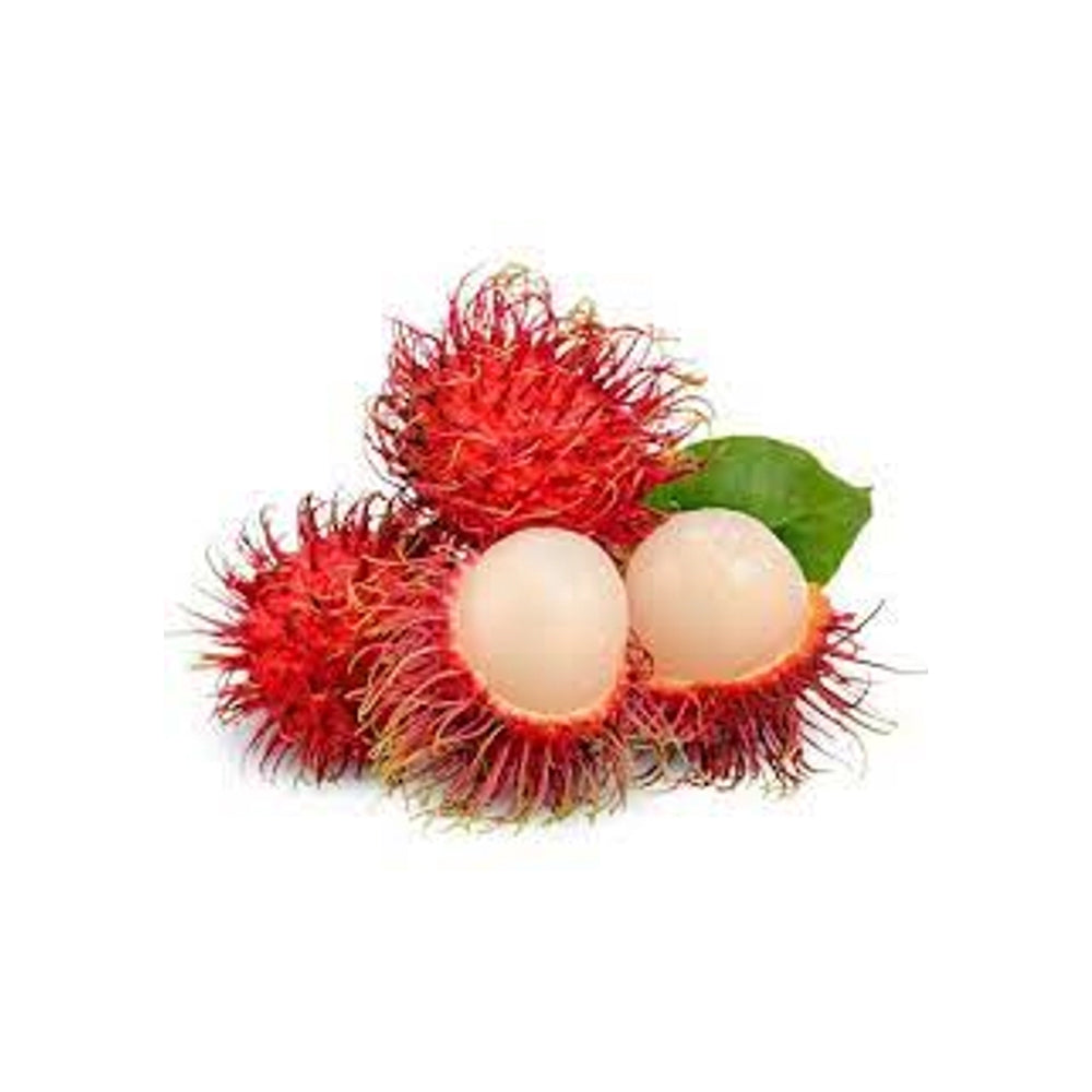 Rambutan plant