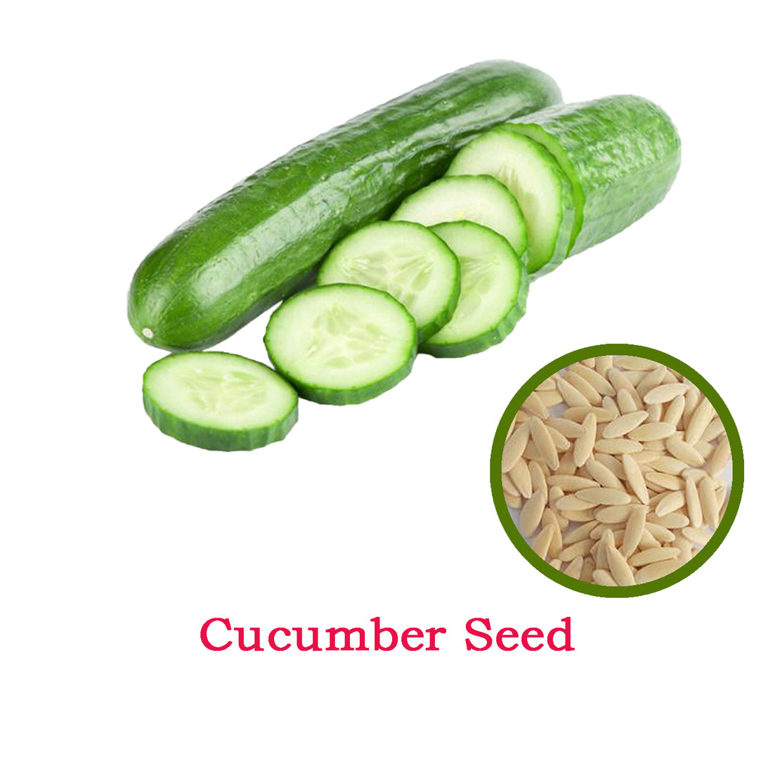 Cucumber Seeds