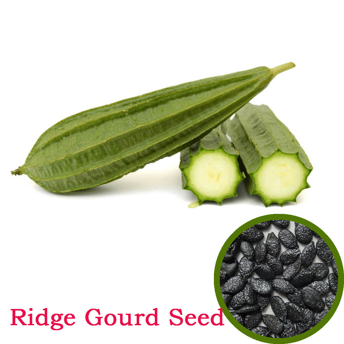 Ridge Gourd Seeds