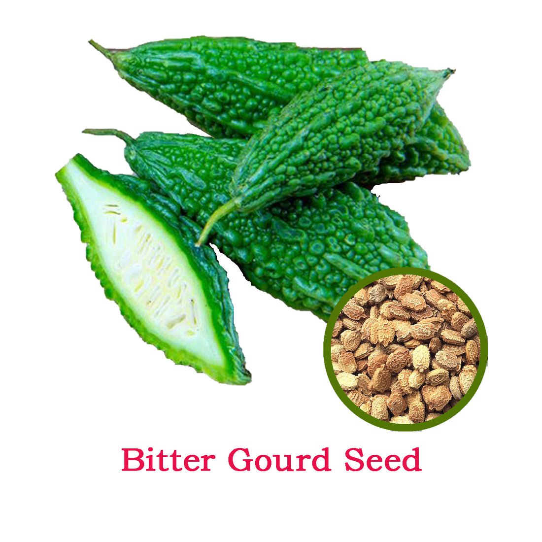 Bitter Gourd Seeds