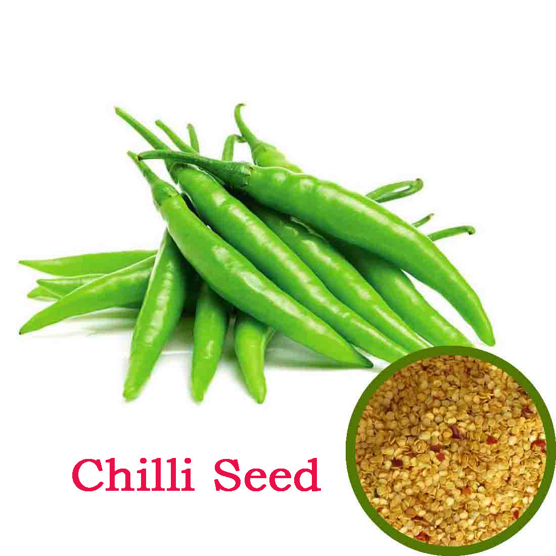 Chilli Seeds