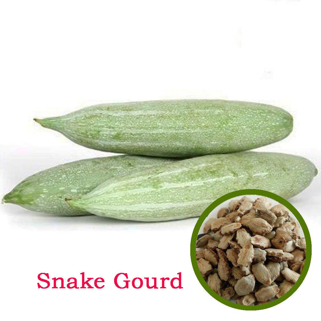 Snake Gourd Seeds