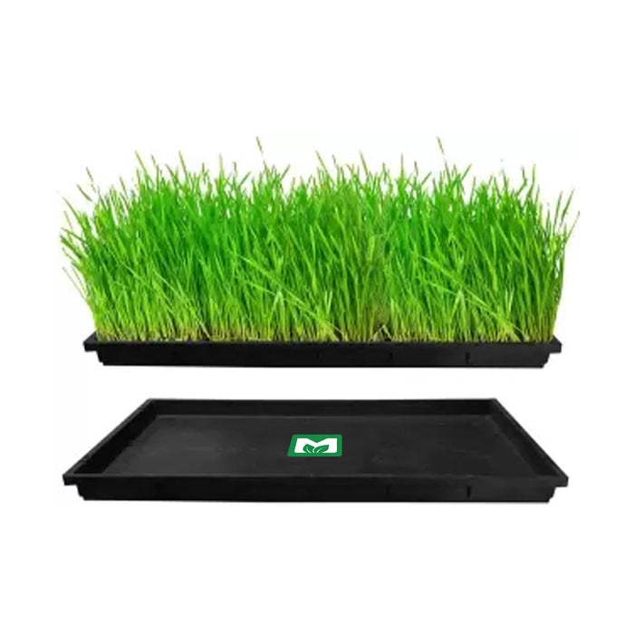 Paddy Tray - Weed Germination Tray