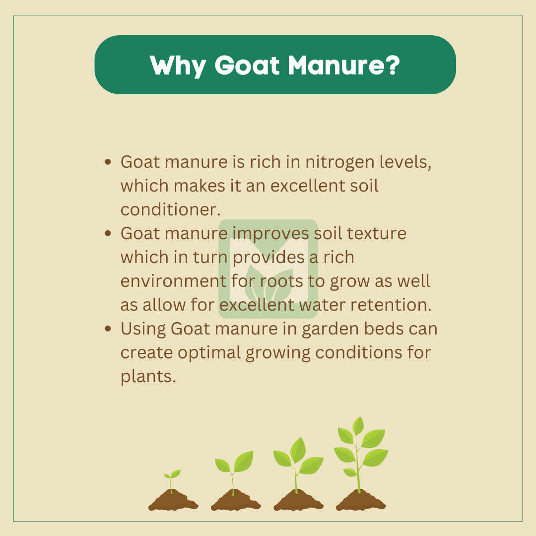 Goat Manure Powder