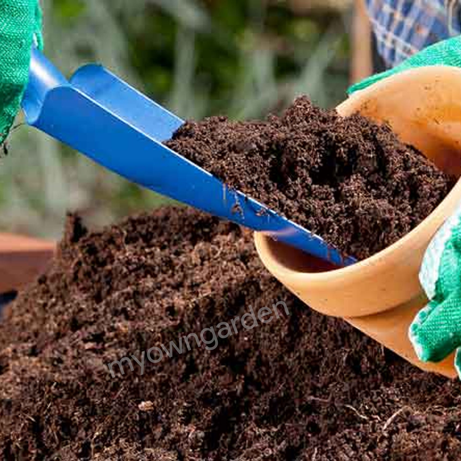 Premium Potting Mix Soil ( Ready to Use)