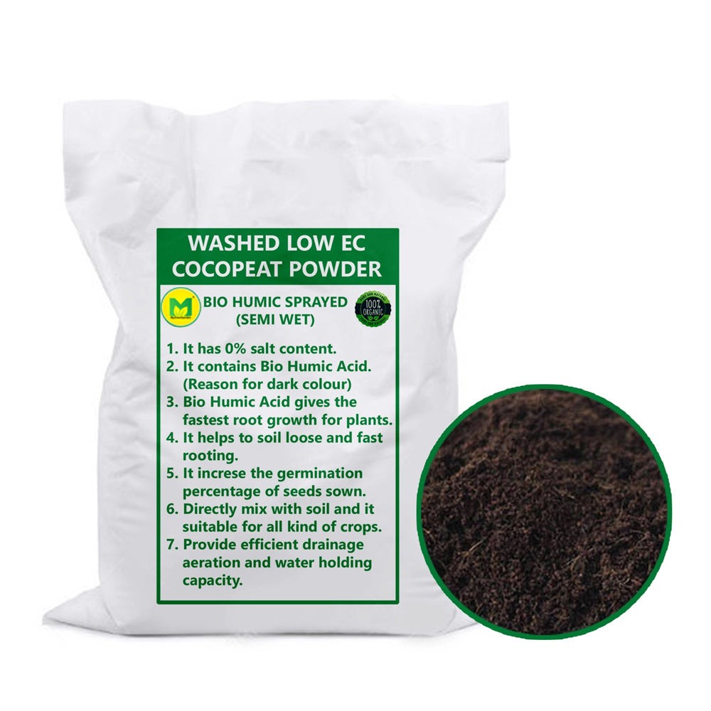 Washed Cocopeat Powder Semi Wet