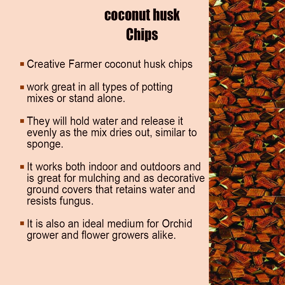 Coconut Husk Chips