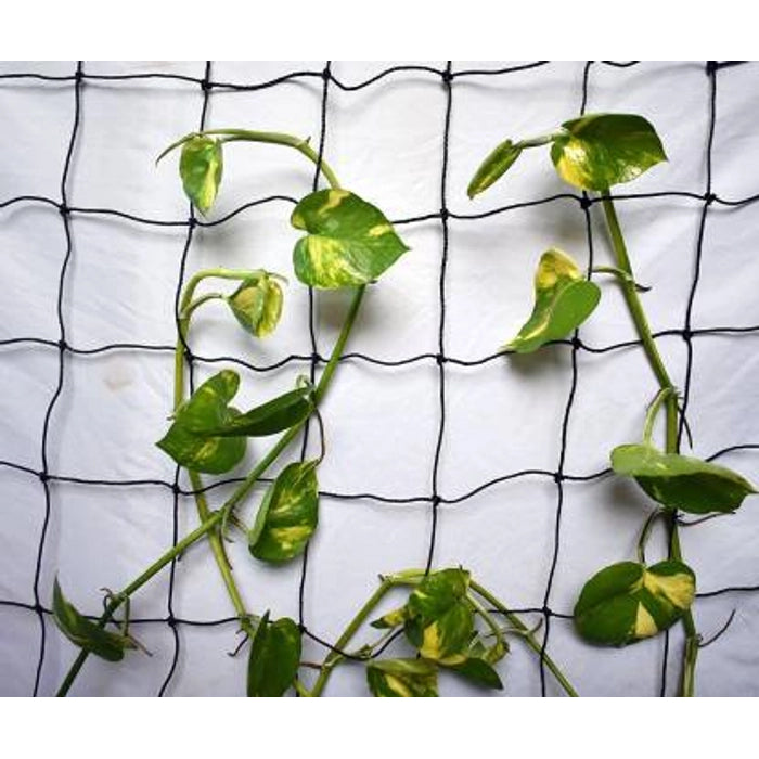 Creeper Net 5x15 feet